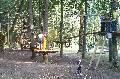 Padidinti skelbimo nuotrauka