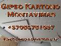 Padidinti Gipso kartono montavimas - gipso-montavimas.lt skelbimo nuotrauka